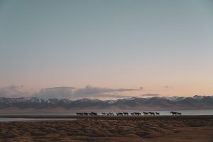Song Kul, Kirghizistan